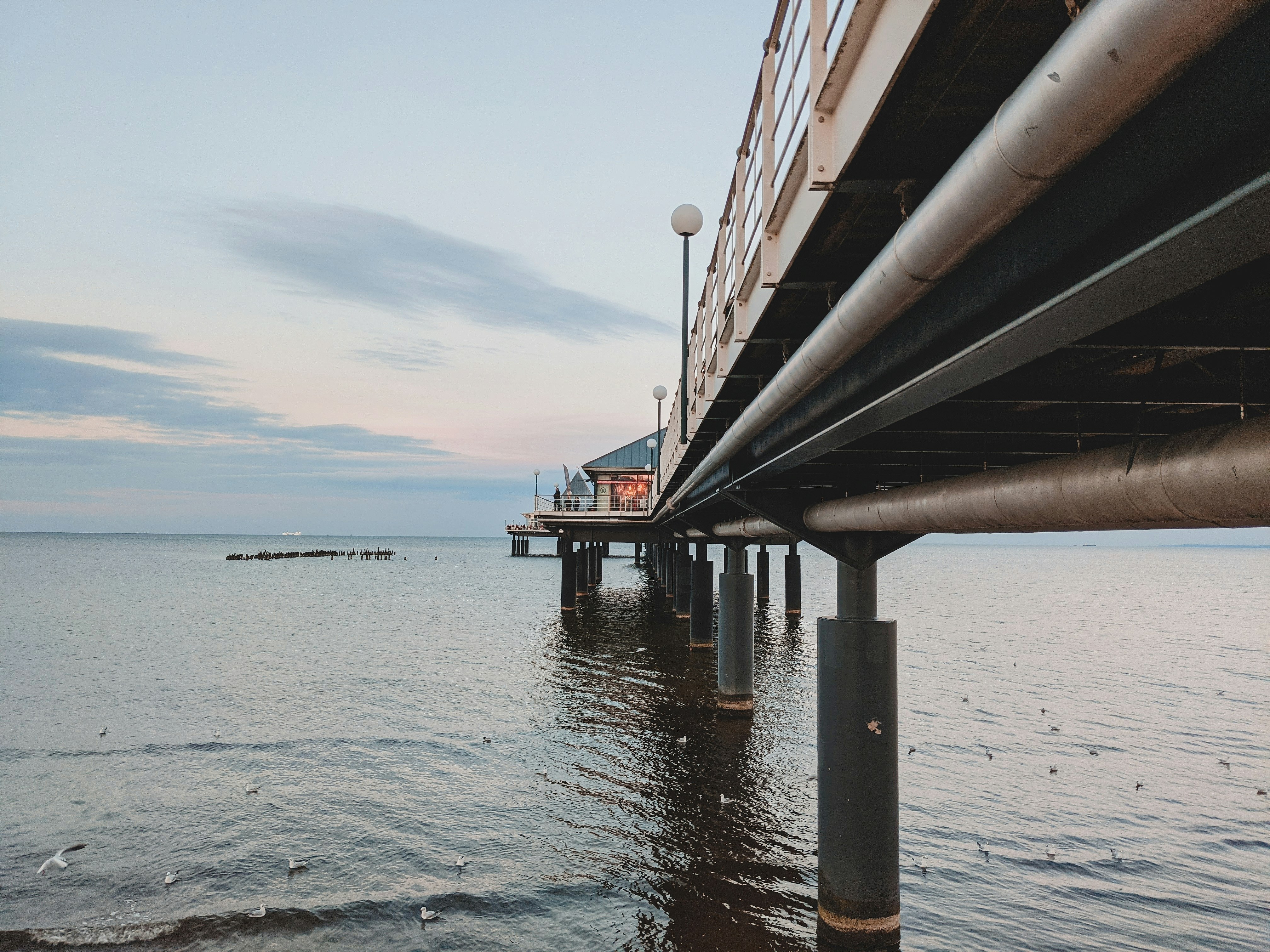 brown wooden dock on sea during daytime